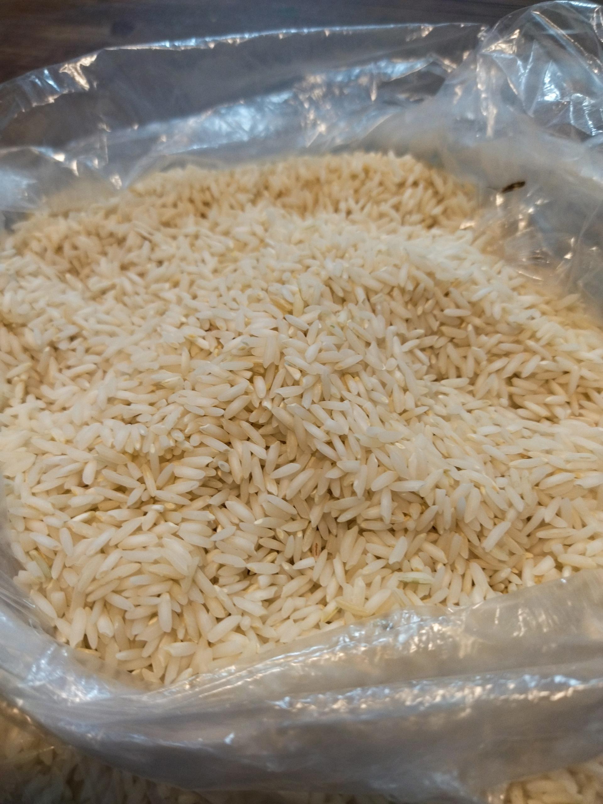 عکس شرکت برنج آنلاین