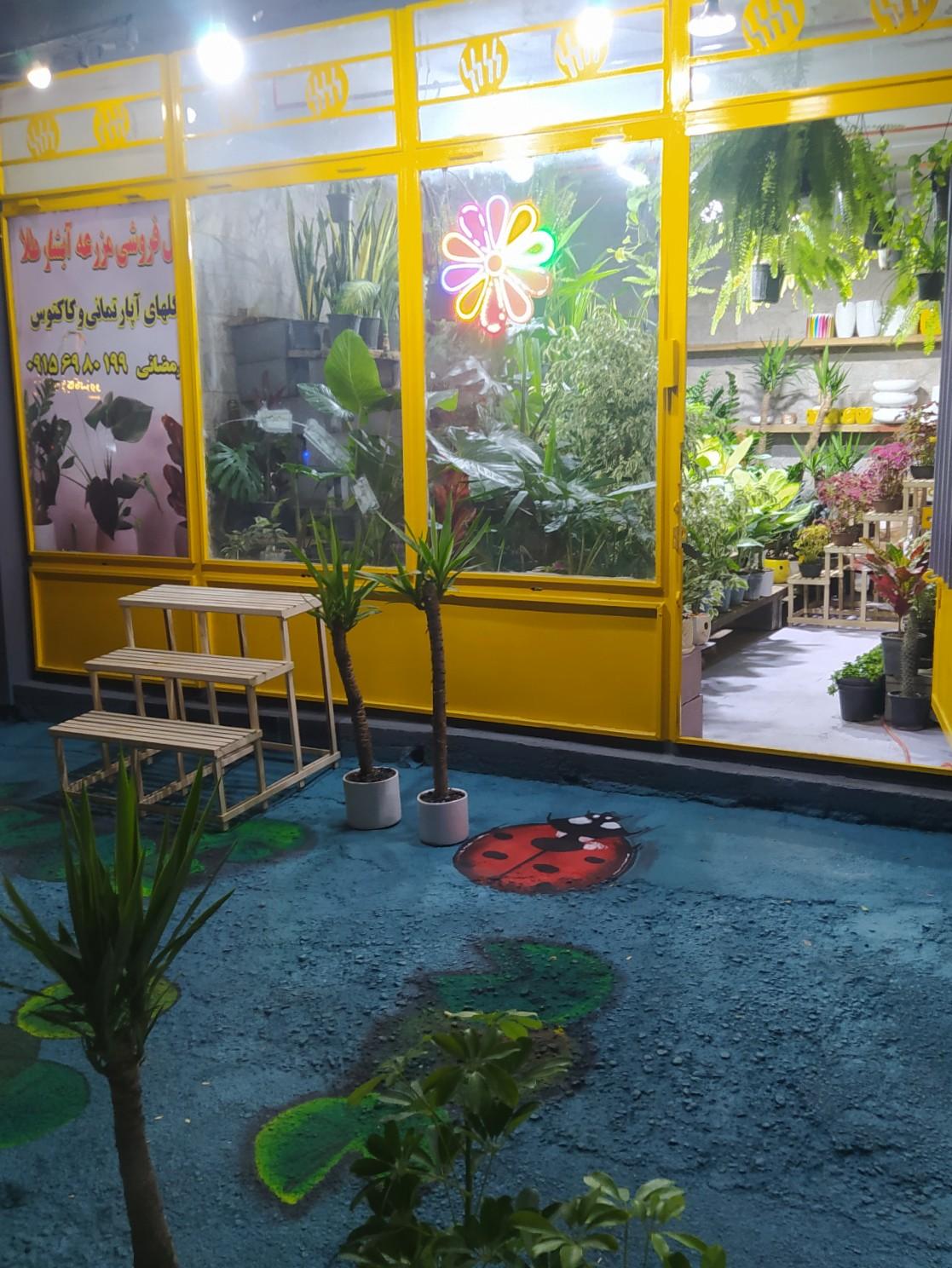 عکس گل فروشی مزرعه آبشار طلا