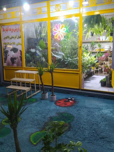 عکس گل فروشی مزرعه آبشار طلا