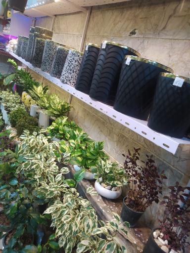 عکس گل فروشی مزرعه آبشار طلا