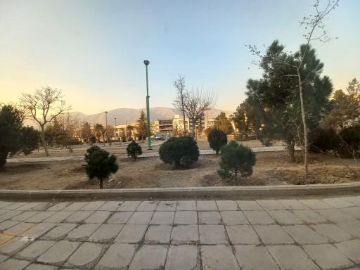 عکس بوستان بنفشه