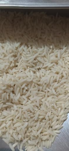 عکس شرکت برنج آنلاین