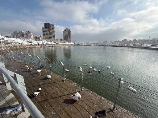 دریاچه مصنوعی بوستان چهل بازه