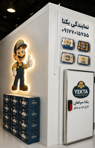 عکس پخش قارچ ایلیا 