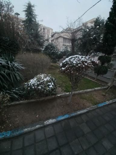 عکس بوستان همیشه بهار