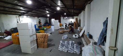 عکس تولیدی کفش پایار