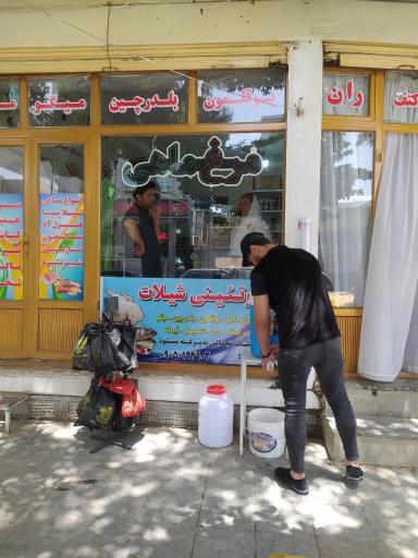 عکس پروتئینی شیلات