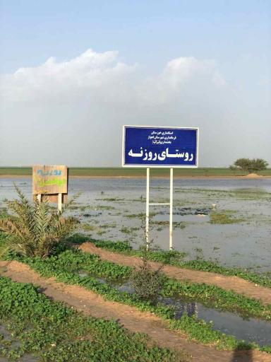 عکس روزنه
