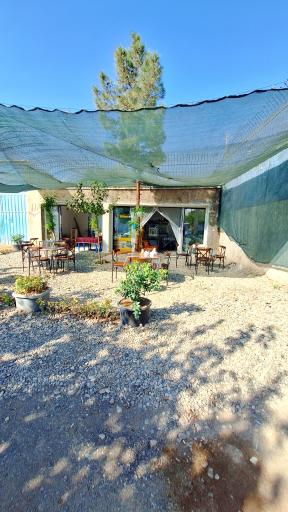 عکس کترینگ گندم