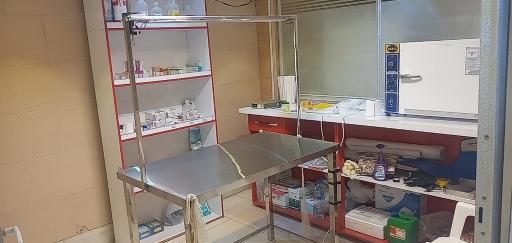 عکس دامپزشکی ایران زمین