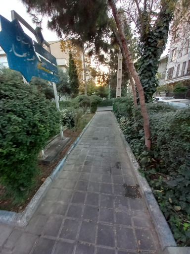 عکس بوستان همیشه بهار