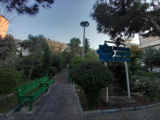 عکس بوستان همیشه بهار