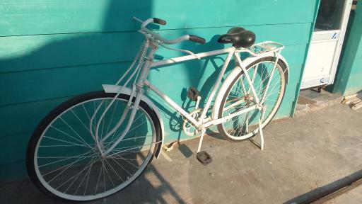 عکس محصولات دریایی فوکاچی