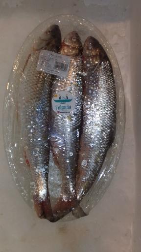 عکس محصولات دریایی فوکاچی