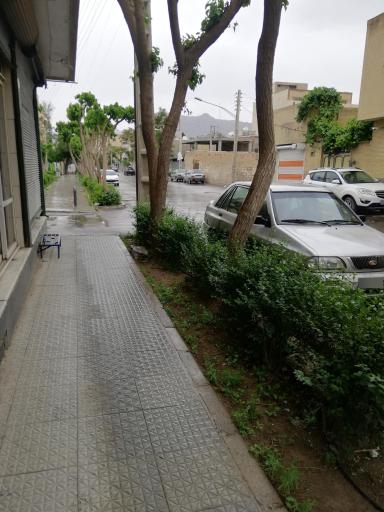 عکس فضای سبز