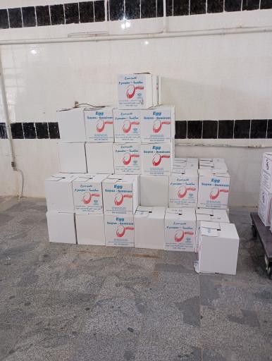 عکس عمده فروشی تخم مرغ