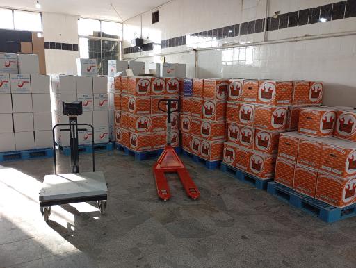 عکس عمده فروشی تخم مرغ