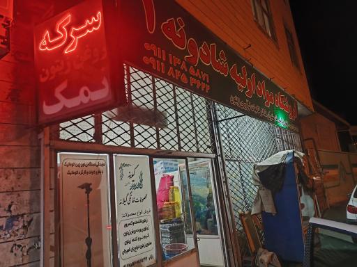 عکس زیتون شادونه 1