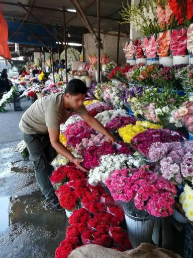 عکس بازار گل شهرداری تهران
