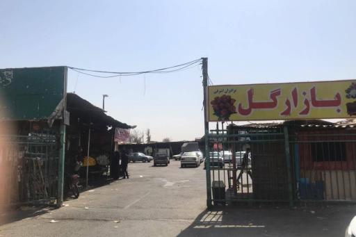 عکس بازار گل شهرداری تهران