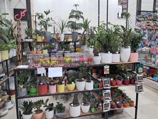 فروشگاه بزرگ ایران