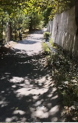 عکس دهبار
