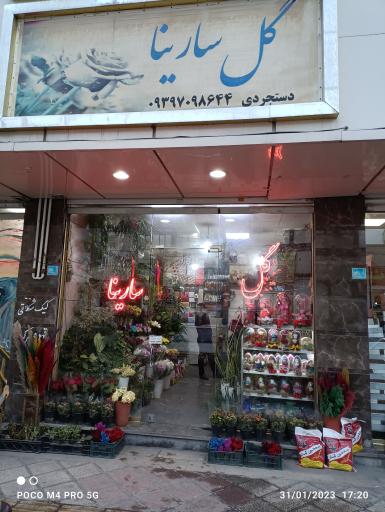 عکس گل فروشی سارینا