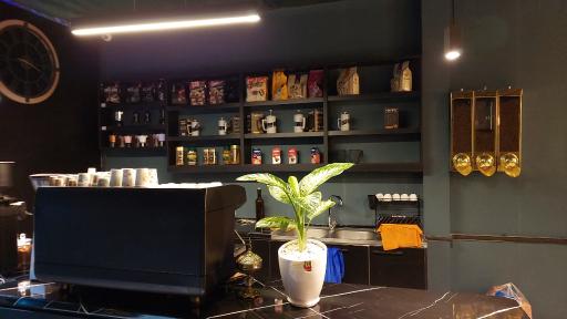 عکس کافه علیسان