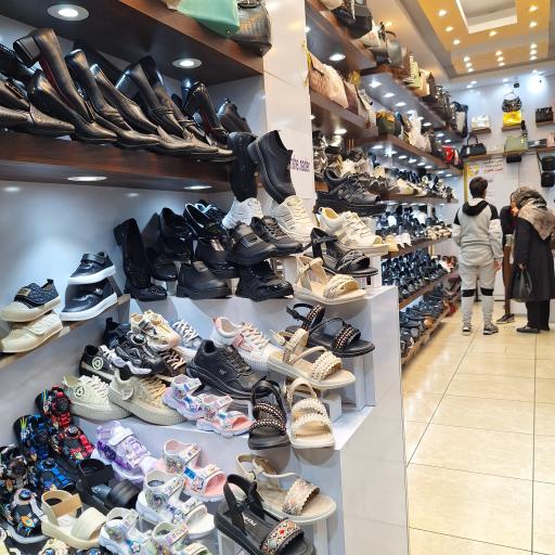 کیف کفش نادر