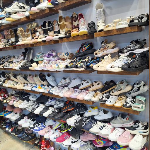 کیف کفش نادر