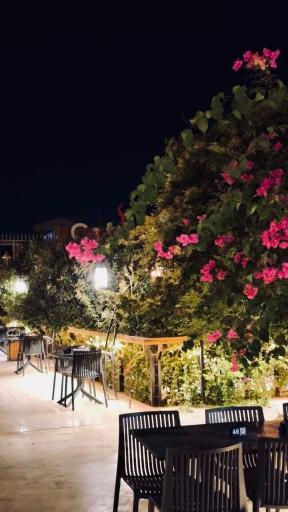 عکس رستوران لاوین گاردن