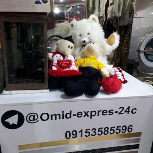 عکس خشکشویی امید 