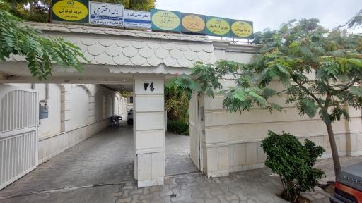 عکس دکتر پریسا قهرمانی