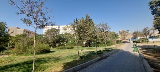 عکس پارک کارمند