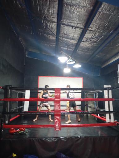 عکس باشگاه رزمی سپهر