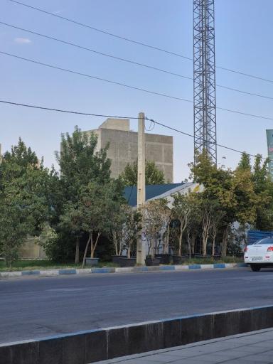 خانه کاکتوس و بنفشه آراز گل
