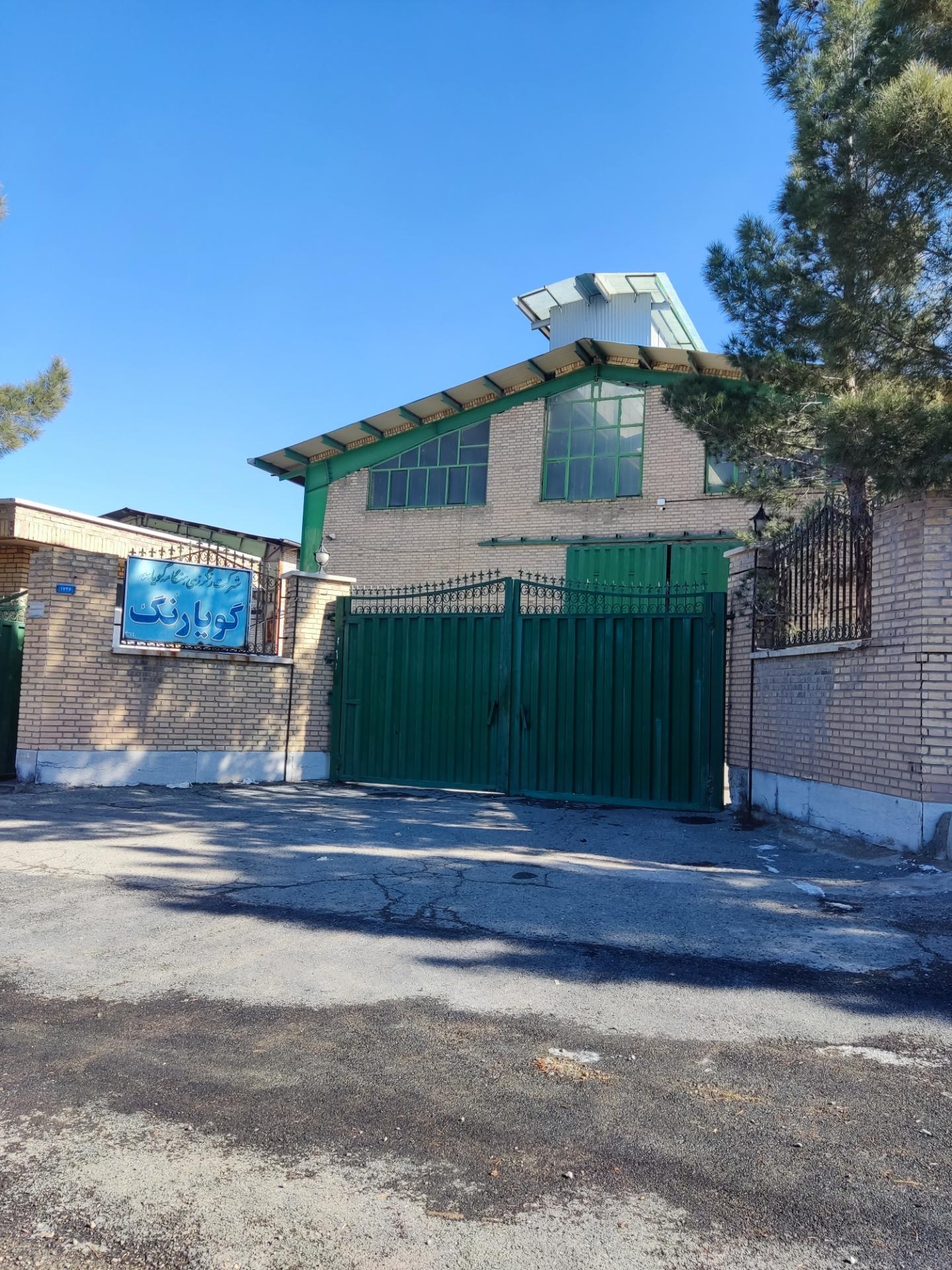 عکس رنگرزی هنگامه گویا (گویا رنگ)