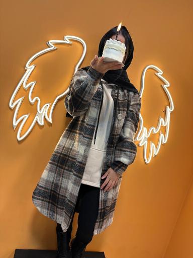 عکس پیتزا میتزا