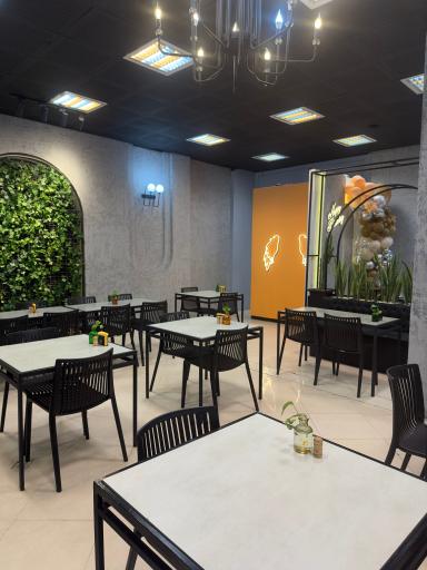 عکس پیتزا میتزا