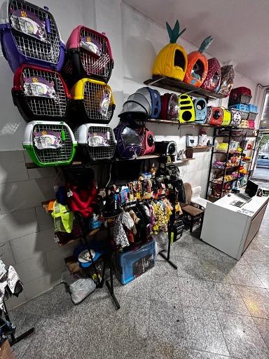 عکس پت شاپ پیکا