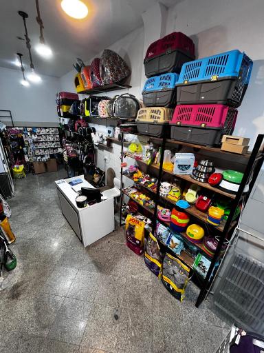 عکس پت شاپ پیکا