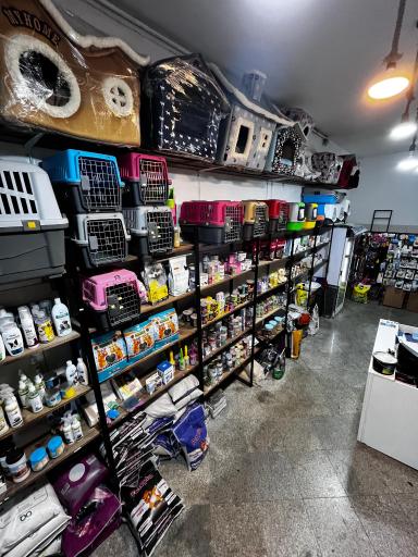 عکس پت شاپ پیکا