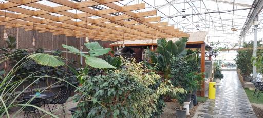 عکس کافه آروسیک