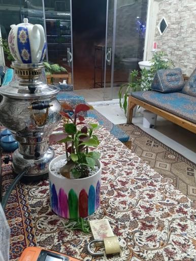 عکس جوجه کبابی دایی محسن 