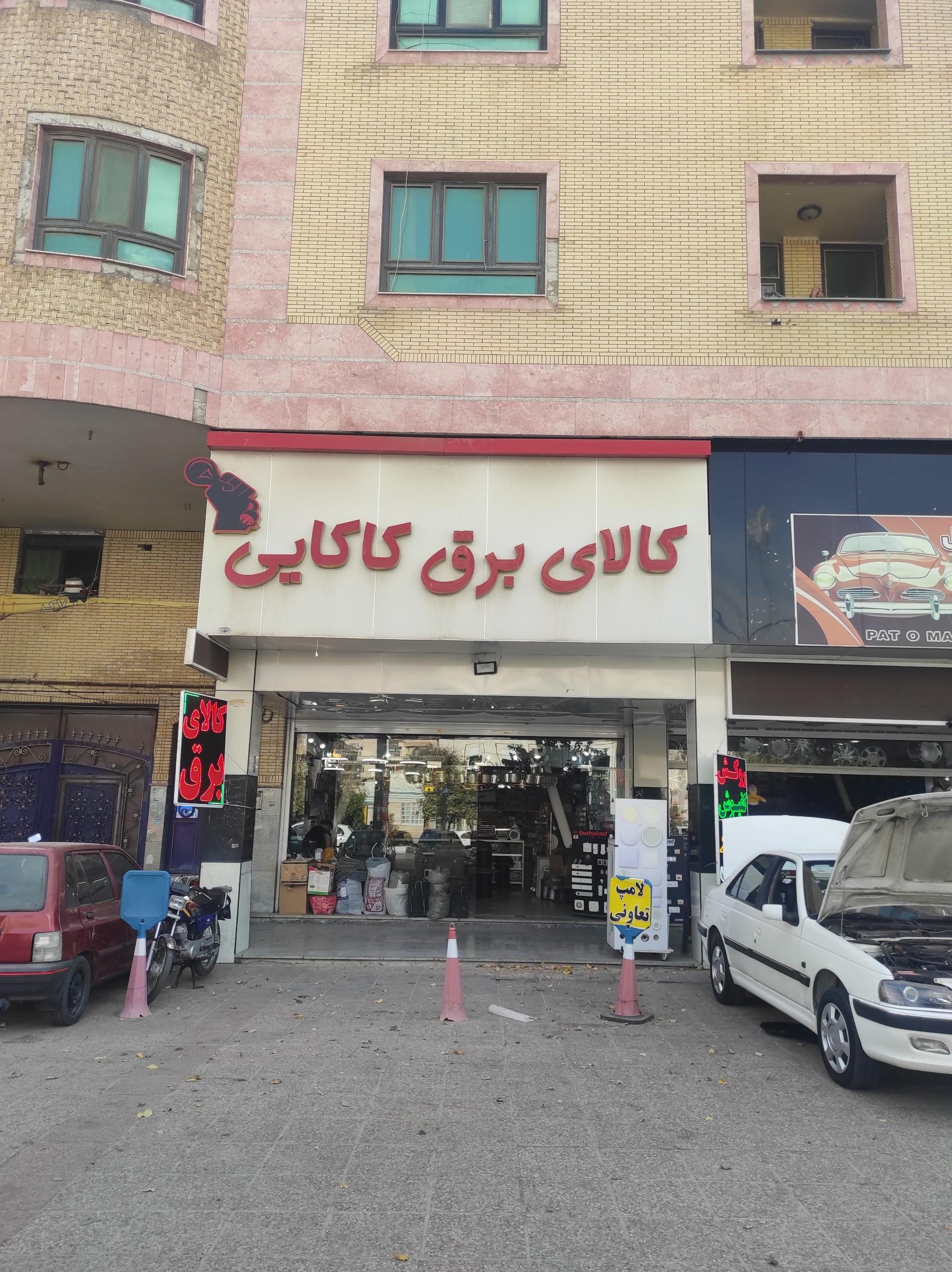 عکس الکتریکی کاکایی