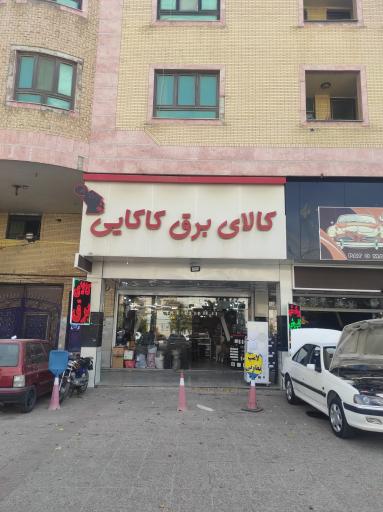 عکس الکتریکی کاکایی