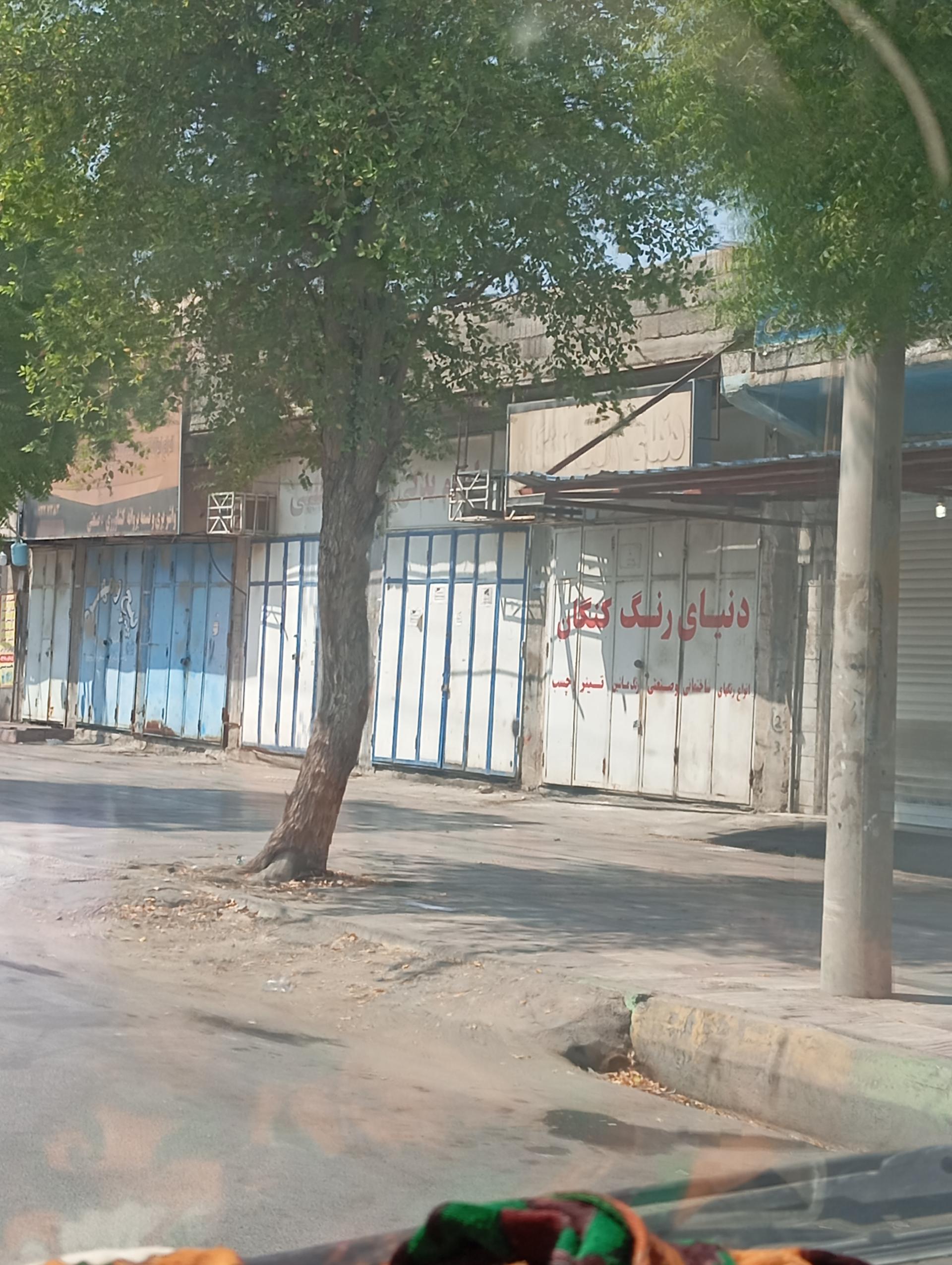 عکس دنیای رنگ کنگان