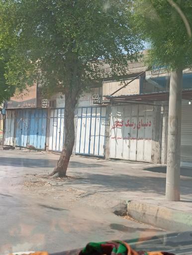 عکس دنیای رنگ کنگان