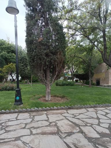 عکس بوستان سروش