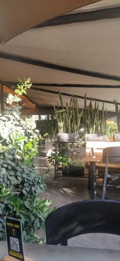 عکس کافه ترانزیت